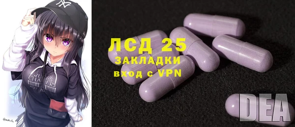 гашик Аркадак