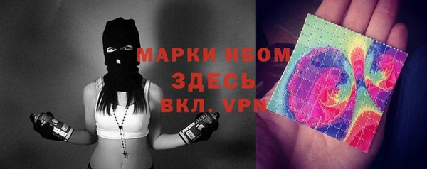 шишки Армянск
