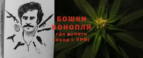 гашик Аркадак