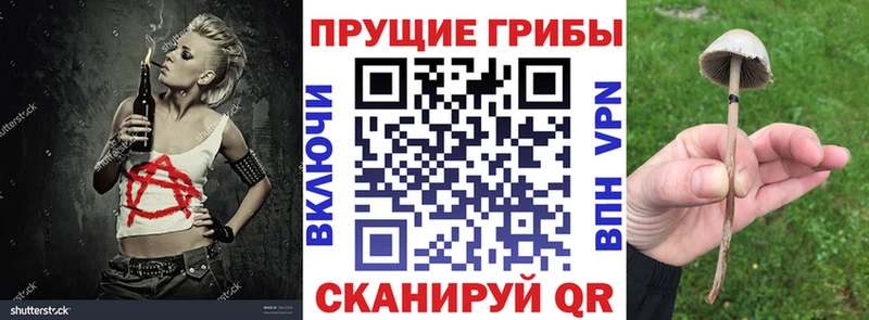 Галлюциногенные грибы Magic Shrooms  Старая Купавна 